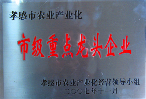 2007孝感市龙头重点企业