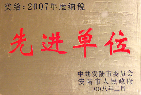 2007安陆纳税先进单位